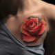 Hartwel - Tatoueur à la Casa de Leões, tattoo studio / salon de tatouage à Nantes (44)