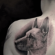 Hartwel - Tatoueur à la Casa de Leões, tattoo studio / salon de tatouage à Nantes (44)